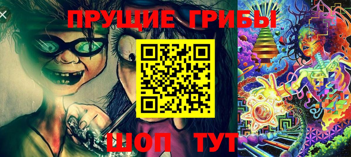 Галлюциногенные грибы Psilocybine cubensis Усинск