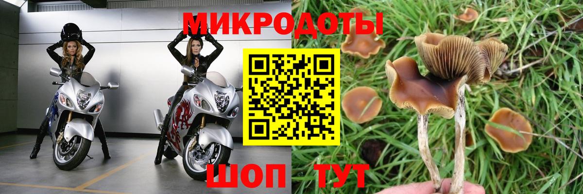 Галлюциногенные грибы GOLDEN TEACHER  Вход с VPN  Усинск  Псилоцибиновые грибы Magic Shrooms 